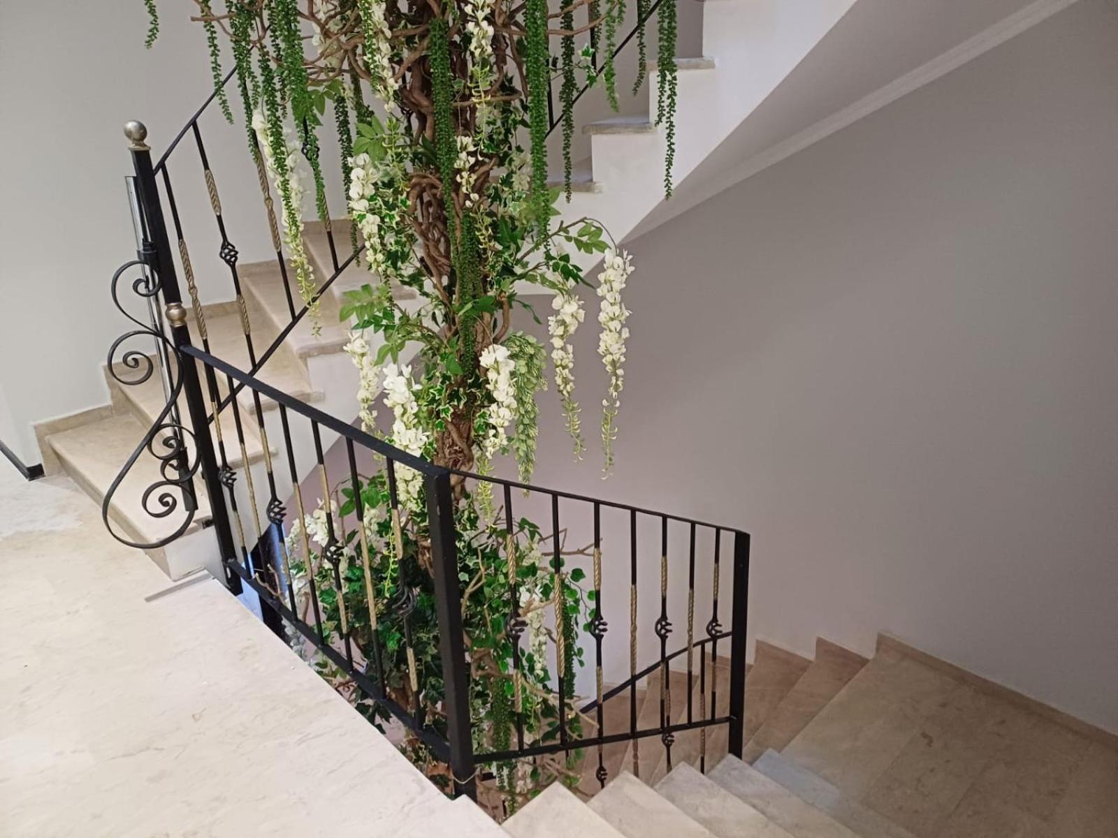 Oxygen Boutique Hotel تيرانا المظهر الخارجي الصورة